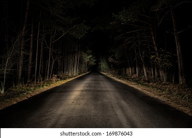 Night Road on dark forest.