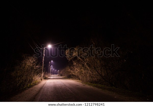Night Road on dark\
forest.\
