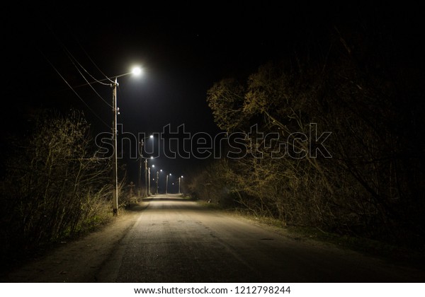 Night Road on dark\
forest.\

