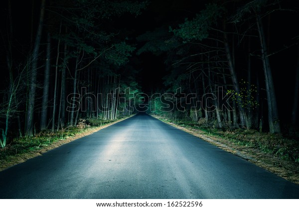 Night Road on dark\
forest.