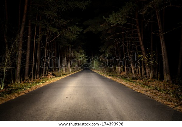 Night Road on dark\
forest.