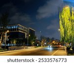 Night scene of a city street with modern buildings, streetlights, and a crescent moon in the sky.