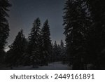 Night scene, nature of Estonia. Night snowy forest and starry sky. 