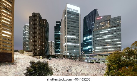 Night scenery of Roppongi Ark Hills in Tokyo downtown during sakura season with view of illuminated Japanese cherry blossoms under high rise skyscrapers ~Beautiful urban skyline of Tokyo in springtime