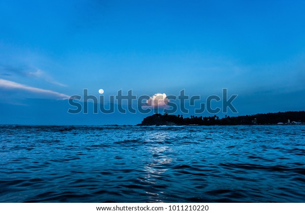 Night\
seascape with the ocean shore and palms on the horizon. Moonlight\
over the Indian ocean near Unawatuna, Sri\
Lanka.