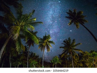 Night shot with palm trees and milky way in background, tropical warm night - Powered by Shutterstock