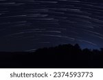 night shot of a startrail, with rows of eucalyptus plants in the foreground and trails of stars in the background