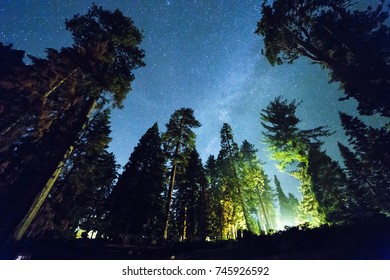 The Night Sky From Azalea Campground In Sequoia National Park.