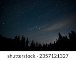 The night sky filled with stars including the Big Dipper and a bright green meteor above a skyline of dark evergreen trees. This was part of a meteor shower.  
