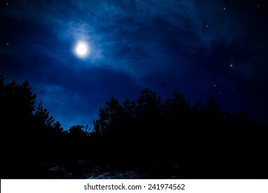 Night Sky With Full Moon And Stars Over Pine Forest