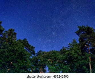 Night Sky Full Of Stars Over Tree Tops In The Forest