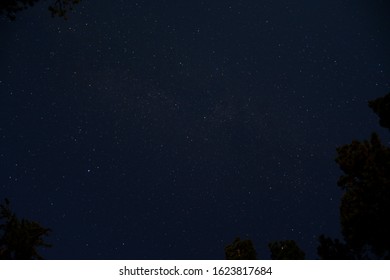 Night Sky Full Of Stars In Sequoia National Park, CA, USA