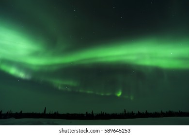 Night Sky Lit Up With Aurora Borealis, Northern Lights, Wapusk National Park, Manitoba, Canada.