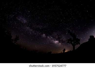 Night Sky Milk Way Joshua Tree