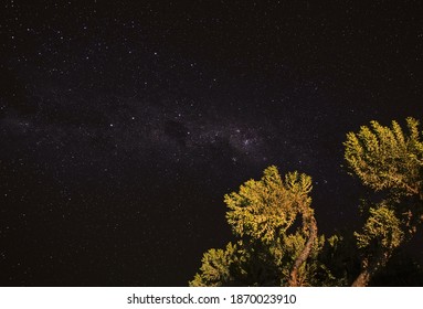 Night Sky With Milkyway Galaxy Over Small Tree Shrubs As Seen From Anakao, Madagascar, Southern Cross Or Crux Constellation Visible Near Carina Nebula