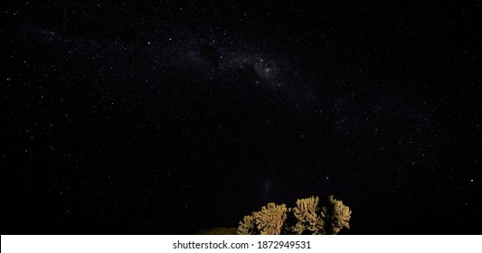 Night Sky With Milkyway Galaxy Over Small Tree Shrubs As Seen From Anakao, Madagascar, Southern Cross Or Crux Constellation Visible Near Carina Nebula