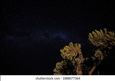 Night Sky With Milkyway Galaxy Over Small Tree Shrubs As Seen From Anakao, Madagascar, Southern Cross Or Crux Constellation Visible Near Carina Nebula