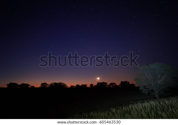 Night sky, moon and colorful horizon over\
Kalahari desert,\
Botswana.
