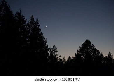 Night Sky In Napa Valley, California