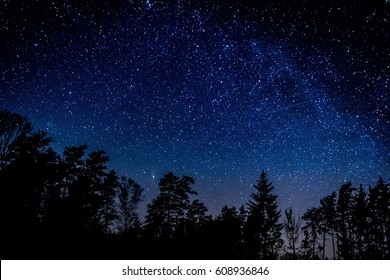 Night Sky Over Rural Landscape. Beautiful Night Starry Sky, High ISO Landscape. 