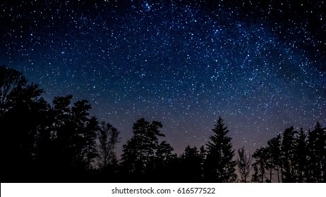 Night Sky Over Rural Landscape. Beautiful Night Starry Sky, High ISO Landscape. 