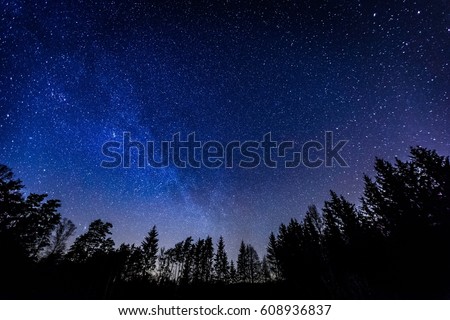 Night sky over rural landscape. Beautiful night starry sky, high ISO landscape. 