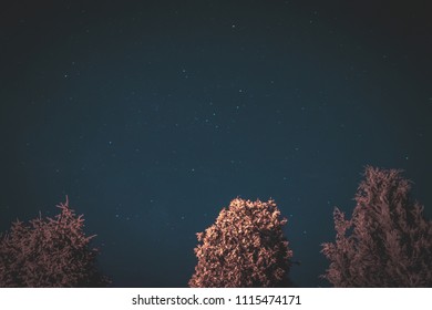 Night sky photo with stars and trees in foreground - Shutterstock ID 1115474171