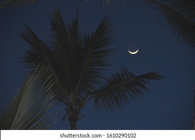 Night Sky Of Punta Cana