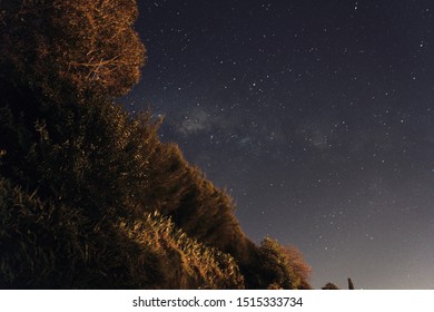 Night sky with stars and a tree line across the side. - Shutterstock ID 1515333734