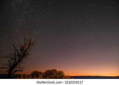 Night Sky In Sydney With Stars