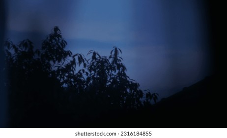 Night sky of window view tree outdoor 