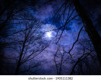 冬の夜空 の写真素材 画像 写真 Shutterstock