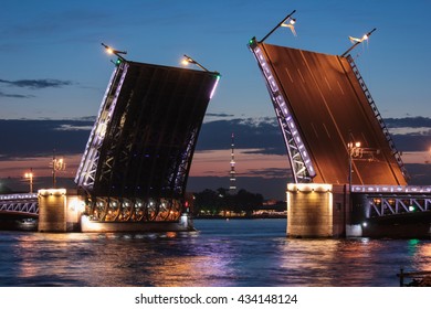 Night St. Petersburg. Palace Bridge