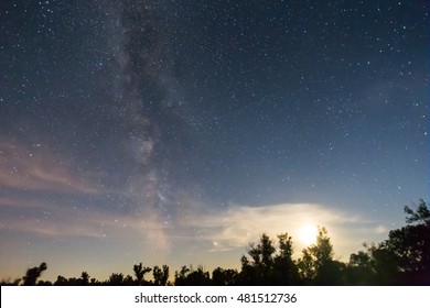 Night Starry Sky Above A Night Forest