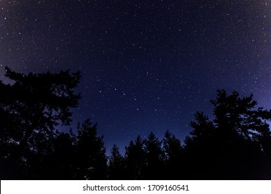 Starry Night Sky Hd Stock Images Shutterstock