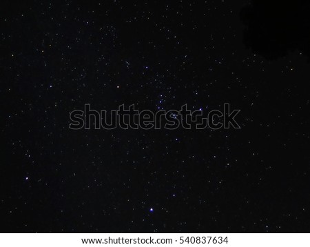 Night stars in sky with forest background