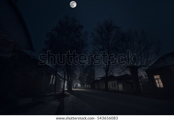 Night street among winter trees and houses under\
dark sky with bright\
moon\
