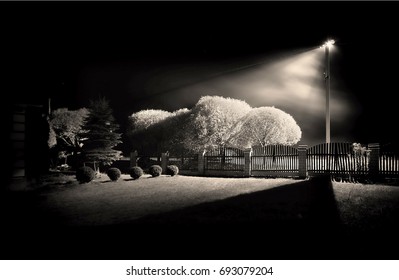 Night, The Streetlight Illuminates The Trees And The Fence In The Park. Black And White Art Photography Monochrome, Photo Noir, Retro.