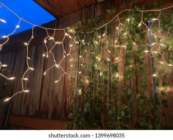 Night Time Sky, Lights, Ivy, Back Porch 