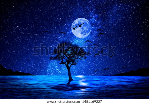 湖と月の背景に夜の木 の写真素材 今すぐ編集