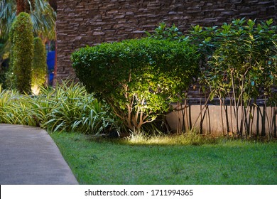 Night Tropical Garden With Lanterns.