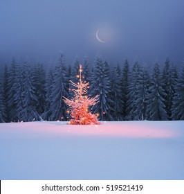 night in the Ukrainian Carpathians, on New Year's golden spruce, with a haze of golden light shine in fog with spectacular light effects Wild forest with Christmas tree after a snow storm  blizzard - Powered by Shutterstock