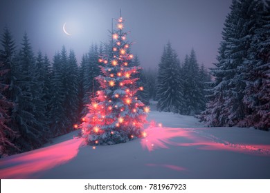 night in the Ukrainian Carpathians, on New Year's golden spruce, with a haze of golden light shine in fog with spectacular light effects Wild forest with Christmas tree after a snow storm  blizzard - Powered by Shutterstock