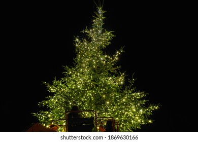 Night View Of Decorating Real Christmas Pine Tree With Lit Bulbs At Aristotelous Square In Thessaloniki, Greece.