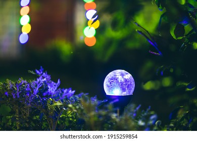 Night View Of Flowerbed Illuminated By Energy-Saving Solar Powered Colorful Multi-colored Lantern On Yard. Beautiful Small Garden With Blue Light, Lamp In Flower Bed. Garden Design.