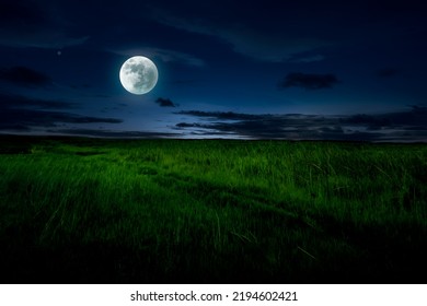 Night View In Grassland. Evening Time Landscape In Meadow With Moonlight