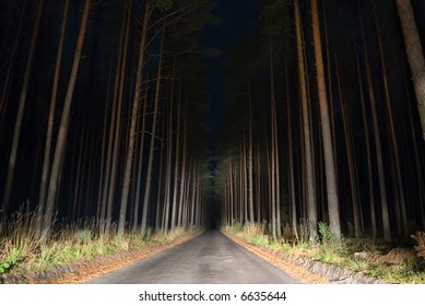 Night View Of Road In The Forest Lit By Car Light.