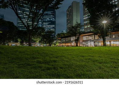 Night view of Shinjuku Central Park in Tokyo