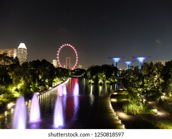 Night View Of Singapore Flyer , Super Tree Of Gardens By The Bay And River 