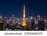 Night view of Tokyo, Japan.